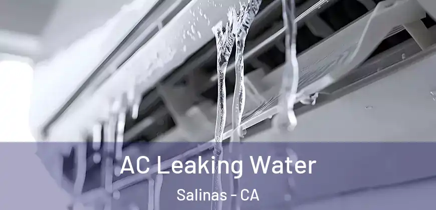 AC Leaking Water Salinas - CA