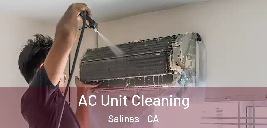 AC Unit Cleaning Salinas - CA