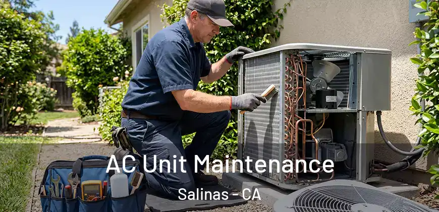AC Unit Maintenance Salinas - CA